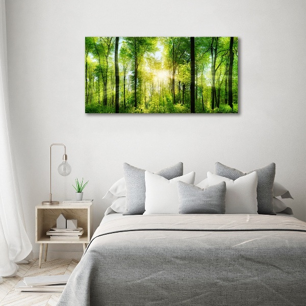 Quadro su tela Foresta al sole