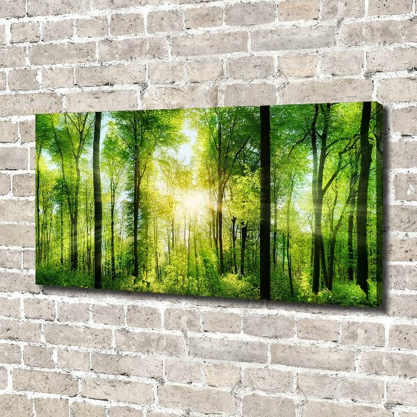 Quadro su tela Foresta al sole