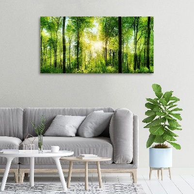 Quadro su tela Foresta al sole