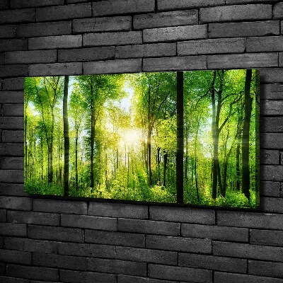Quadro su tela Foresta al sole