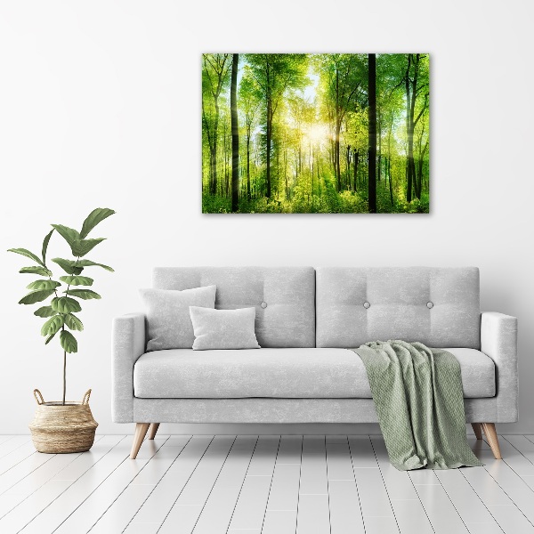 Quadro su tela Foresta al sole