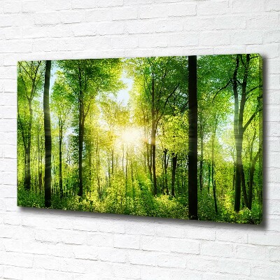Quadro su tela Foresta al sole