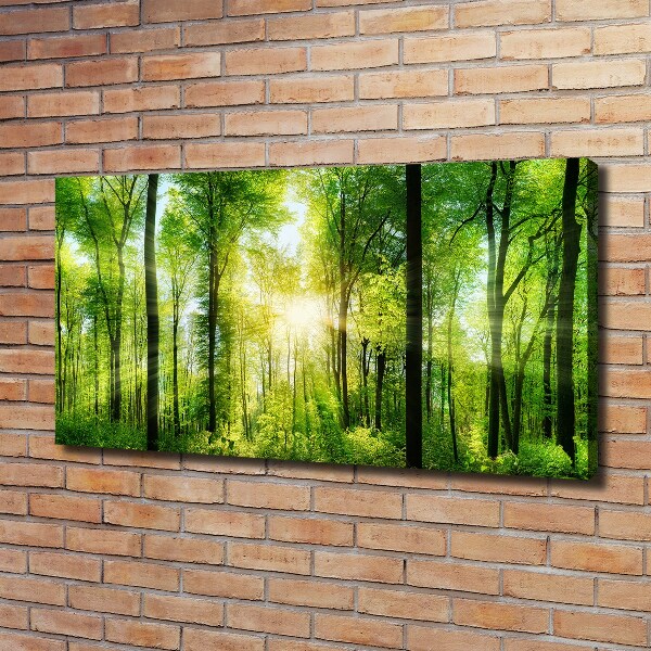 Quadro su tela Foresta al sole