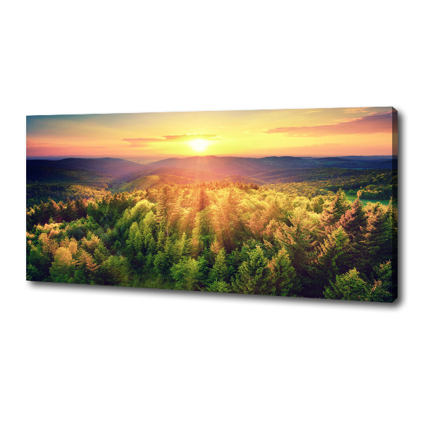 Foto quadro su tela Tramonto nella foresta