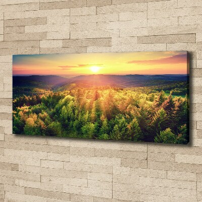 Foto quadro su tela Tramonto nella foresta