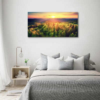 Foto quadro su tela Tramonto nella foresta