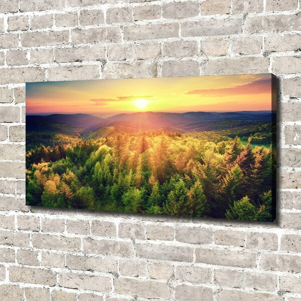 Foto quadro su tela Tramonto nella foresta