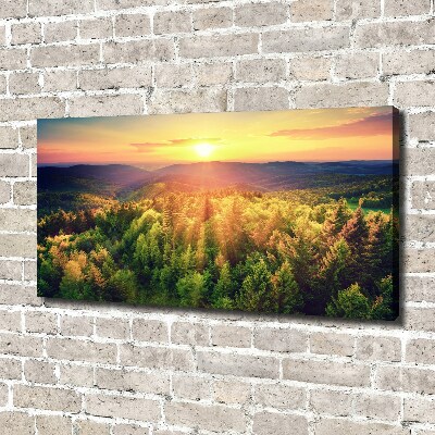 Foto quadro su tela Tramonto nella foresta