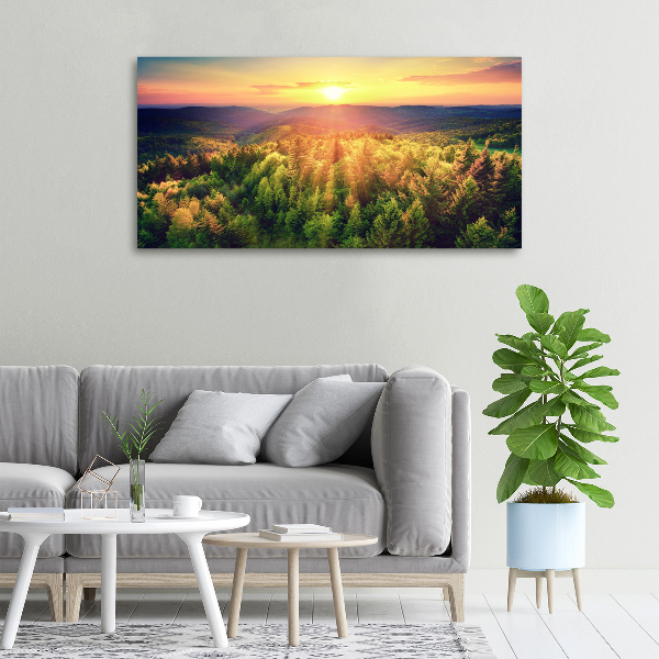 Foto quadro su tela Tramonto nella foresta