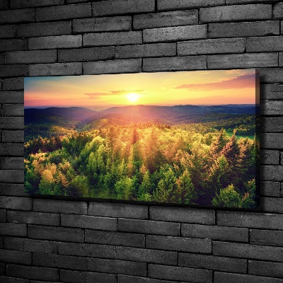 Foto quadro su tela Tramonto nella foresta