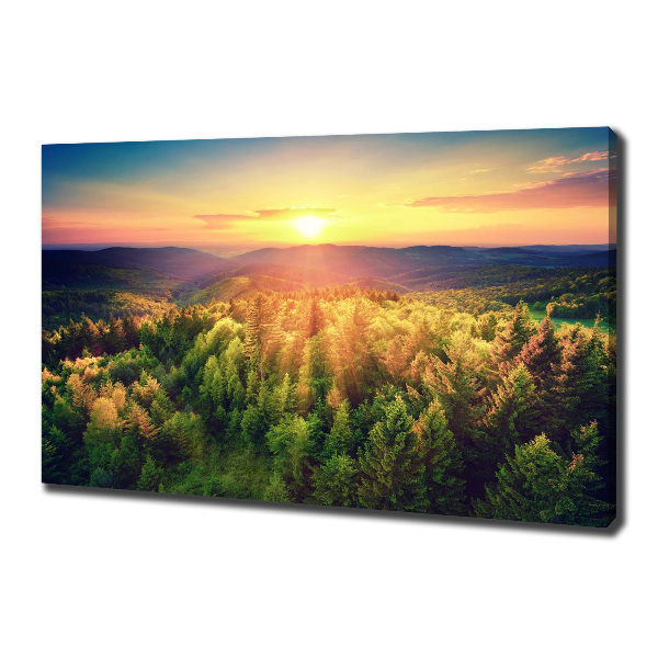 Foto quadro su tela Tramonto nella foresta