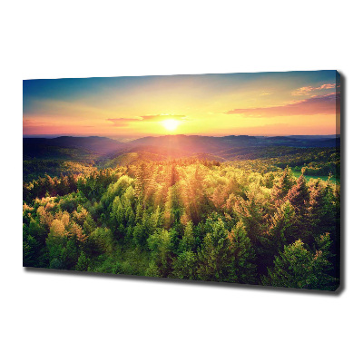 Foto quadro su tela Tramonto nella foresta