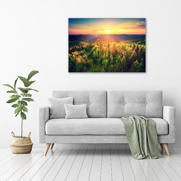 Foto quadro su tela Tramonto nella foresta