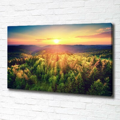 Foto quadro su tela Tramonto nella foresta