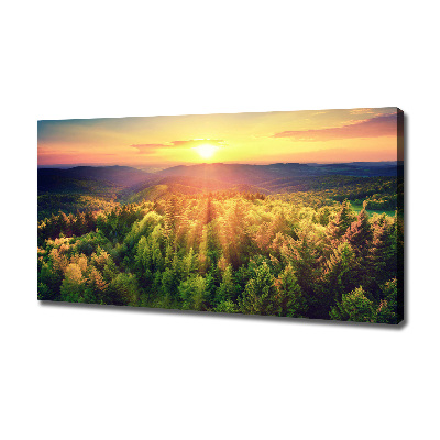 Foto quadro su tela Tramonto nella foresta