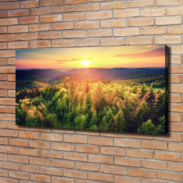 Foto quadro su tela Tramonto nella foresta