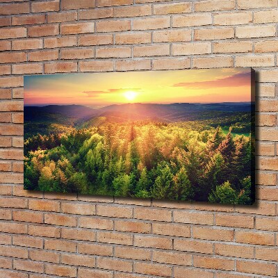 Foto quadro su tela Tramonto nella foresta