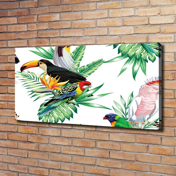 Quadro stampa su tela Uccelli tropicali