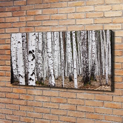 Quadro su tela Betulla