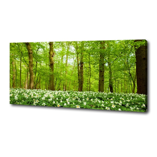 Quadro stampa su tela Fiori nella foresta