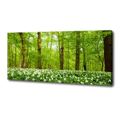 Quadro stampa su tela Fiori nella foresta