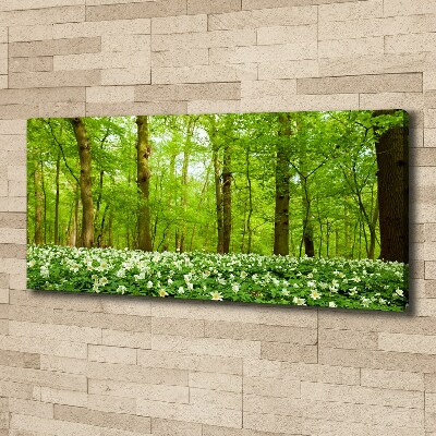 Quadro stampa su tela Fiori nella foresta