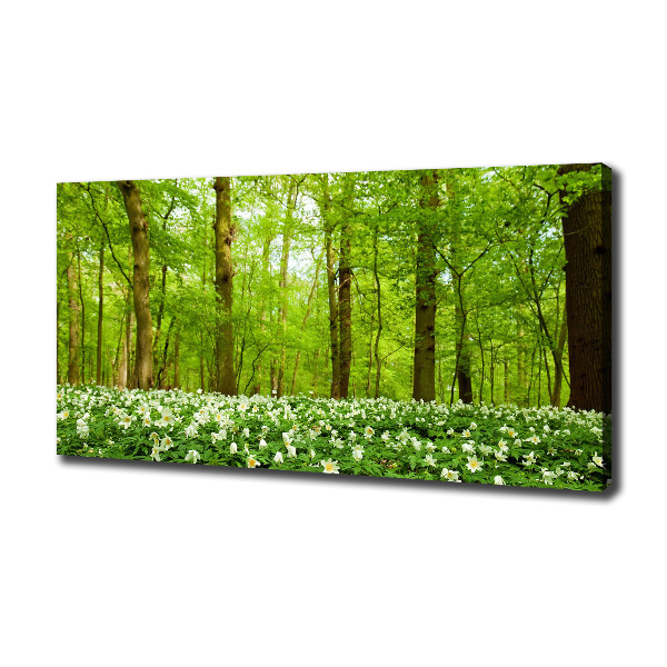 Quadro stampa su tela Fiori nella foresta