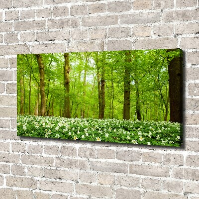 Quadro stampa su tela Fiori nella foresta