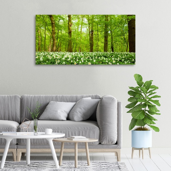 Quadro stampa su tela Fiori nella foresta