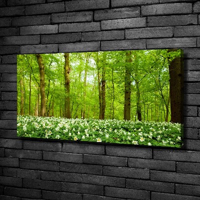 Quadro stampa su tela Fiori nella foresta