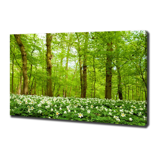 Quadro stampa su tela Fiori nella foresta