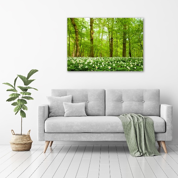 Quadro stampa su tela Fiori nella foresta