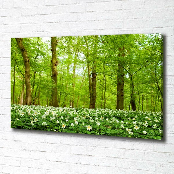 Quadro stampa su tela Fiori nella foresta