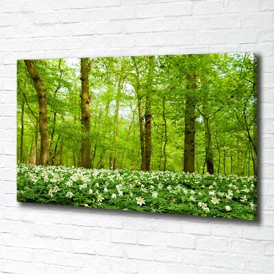 Quadro stampa su tela Fiori nella foresta