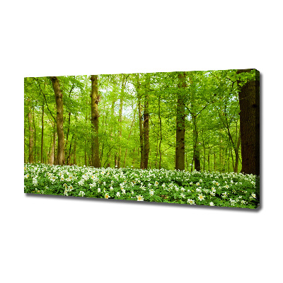 Quadro stampa su tela Fiori nella foresta