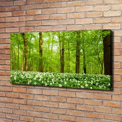 Quadro stampa su tela Fiori nella foresta