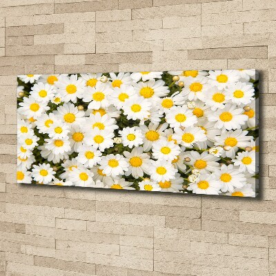 Quadro su tela Margherite