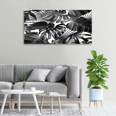 Foto quadro su tela Foglie tropicali