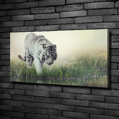 Quadro su tela Tigre bianca