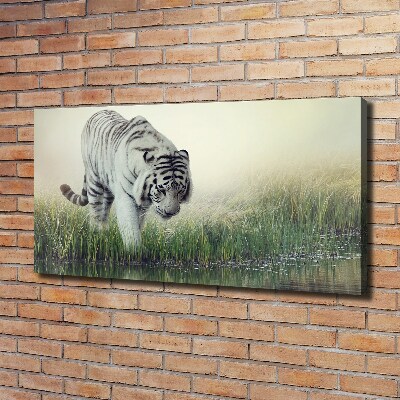 Quadro su tela Tigre bianca