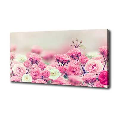 Quadro stampa su tela Fiori di rosa selvatica
