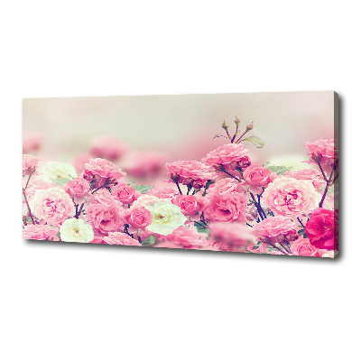Quadro stampa su tela Fiori di rosa selvatica