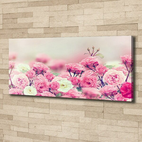 Quadro stampa su tela Fiori di rosa selvatica