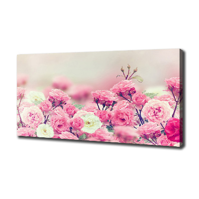 Quadro stampa su tela Fiori di rosa selvatica