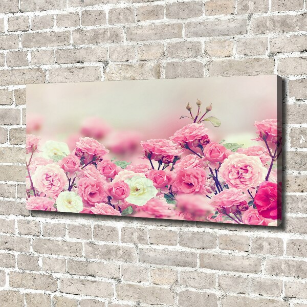 Quadro stampa su tela Fiori di rosa selvatica