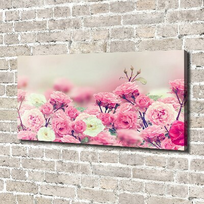Quadro stampa su tela Fiori di rosa selvatica