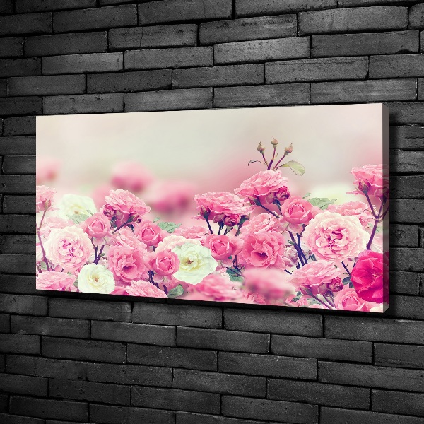 Quadro stampa su tela Fiori di rosa selvatica