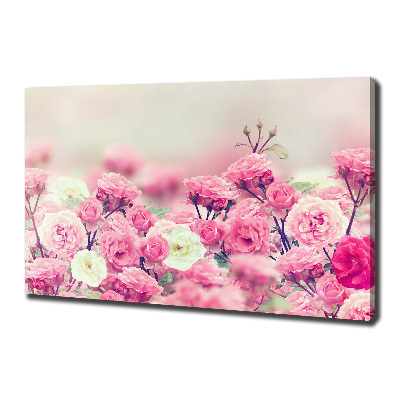 Quadro stampa su tela Fiori di rosa selvatica