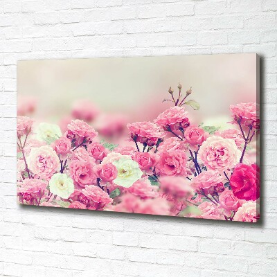 Quadro stampa su tela Fiori di rosa selvatica