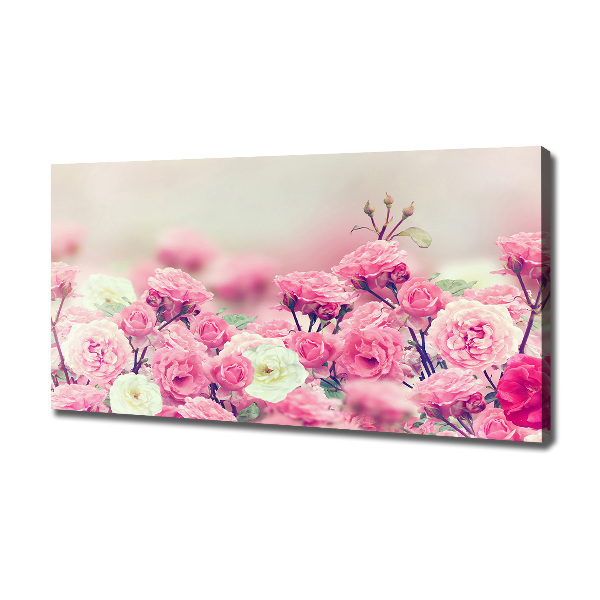 Quadro stampa su tela Fiori di rosa selvatica